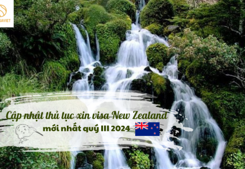 Hướng dẫn chi tiết thủ tục xin visa New Zealand mới nhất Quý III, 2024